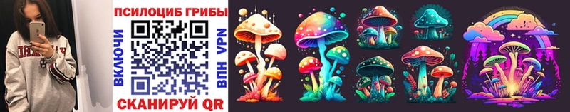 купить наркоту  Фокино  Псилоцибиновые грибы Cubensis 