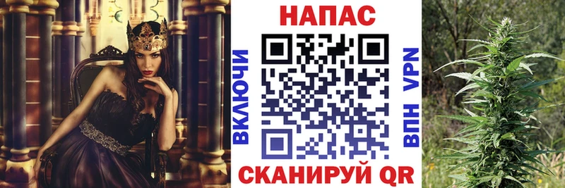 Шишки марихуана SATIVA & INDICA  закладка  Фокино 